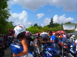 XIX Concentracion - 2012